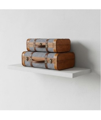 Juego de 2 Maletas de Viaje Estilo Vintage, Diseño Resistente, Ideal para Decoración y Almacenamiento, Regalo