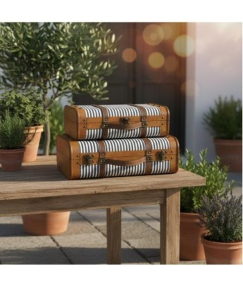 Juego de 2 Maletas de Viaje Estilo Vintage, Diseño Resistente, Ideal para Decoración y Almacenamiento, Regalo