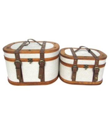Juego de 2 Maletas de Viaje Elegantes con Diseño Vintage, Organizadores para Almacenamiento, Decoración y Estilo