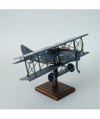 Modelo de Avión Vintage de Metal Azul, Regalo Ideal para Entusiastas de la Aviación y Decoración del Hogar