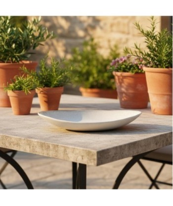 Plato de Porcelana Decorativo Blanco, Ideal para Decoración de Hogar y Cocina, Diseño Elegante y Versátil