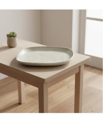 Plato Decorativo de Porcelana para Cocina y Comedor, Diseño Elegante, Ideal para Presentación de Alimentos y