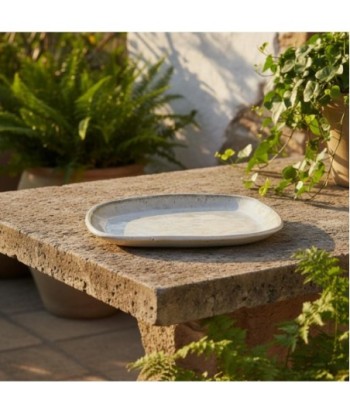 Plato Decorativo de Porcelana para Cocina y Comedor, Diseño Elegante, Ideal para Presentación de Alimentos y