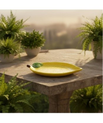 Plato Decorativo Cerámica Limonissimo, Diseño Exclusivo, Ideal para Cocina y Comedor, Regalo Original y Elegante