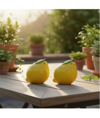 Salero Pimentero Cerámica Diseño Limón Decoración Cocina Original Regalo Creativo Accesorio Mesa Moderno