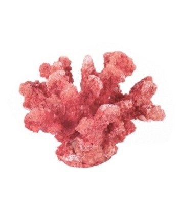 Figura Coral de Cerámica Marinera | Decoración Color Rosa, Estilo Náutico