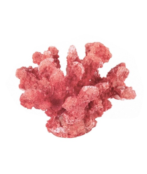 Figura Coral de Cerámica Marinera | Decoración Color Rosa, Estilo Náutico
