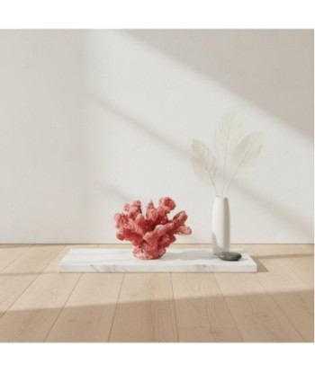 Figura Coral de Cerámica Marinera | Decoración Color Rosa, Estilo Náutico