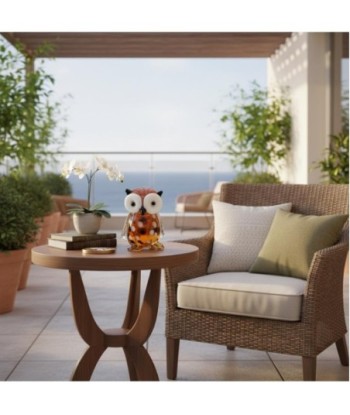 Pisapapel Búho de Vidrio - Decoración Original para Oficina y Hogar