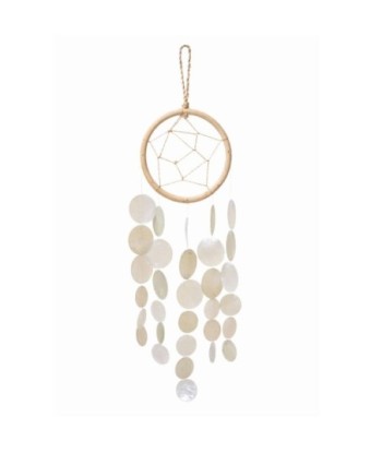Colgante Atrapasueños de Resina - Estilo Bohemio y Decorativo
