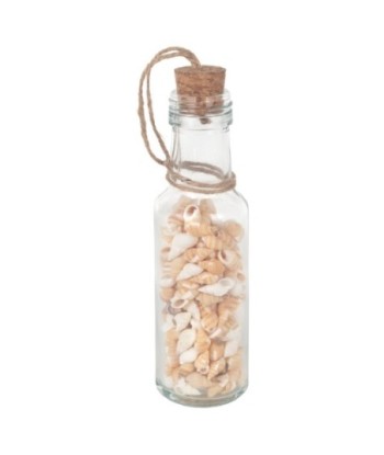 Botella De Conchas De Cristal Decorativa para Oficina o Hogar