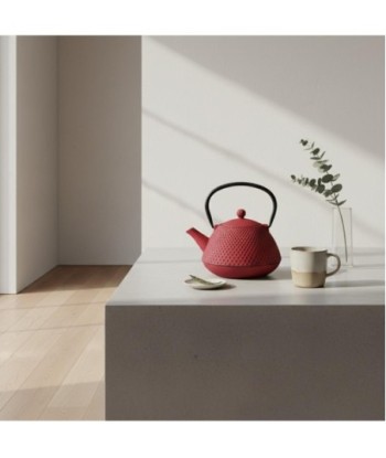 Tetera de Hierro Colado 0,8L Roja - Estilo Moderno