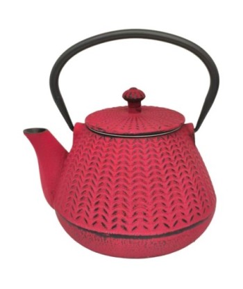 Tetera de Hierro Colado 1L - Estilo Japonés para Infusiones