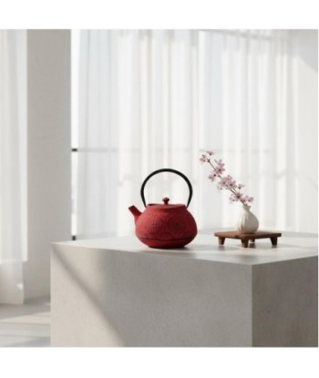 Tetera de Hierro Colado 1,2L - Estilo Moderno y Color Rojo