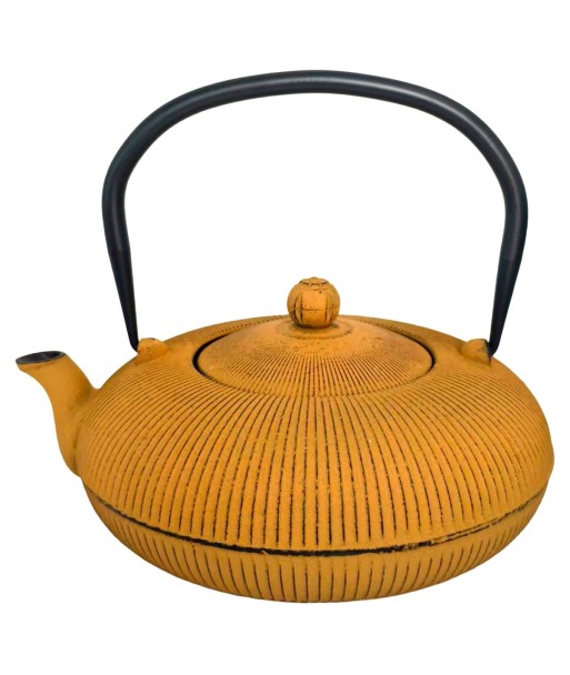 Tetera de Hierro Colado 1,2L - Diseño Moderno y Elegante