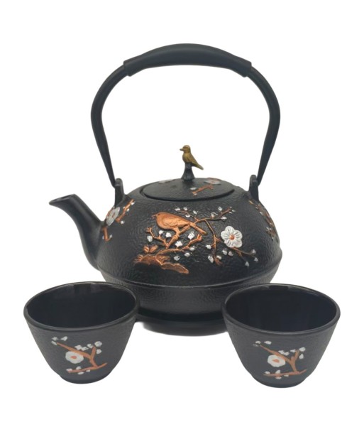 Set Tetera 1,2L Hierro Colado con Flores + 2 Vasos Cerámicos