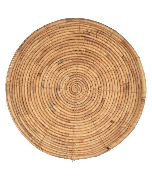 Adorno Pared de Jacinto de Agua - Estilo Natural para Jardín