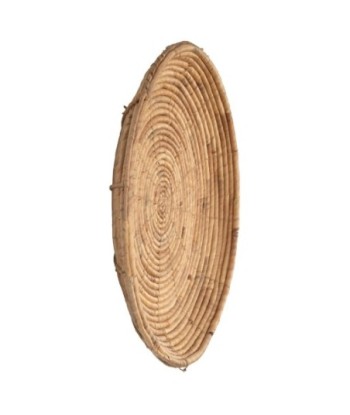Adorno Pared de Jacinto de Agua - Estilo Natural para Jardín