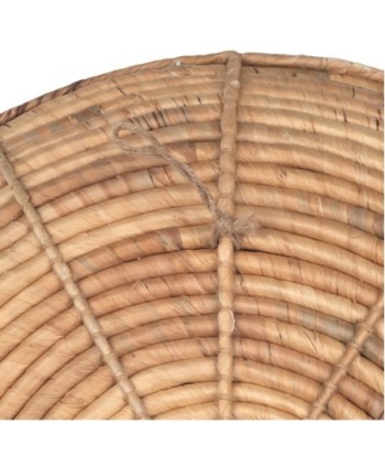 Adorno Pared de Jacinto de Agua - Estilo Natural para Jardín