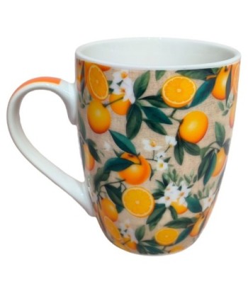 Mug Naranjas Porcelana con Caja Regalo - Estilo Fresco y Colorido