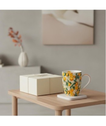 Mug Naranjas Porcelana con Caja Regalo - Estilo Fresco y Colorido