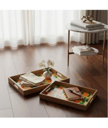 Bandeja de Madera y Resina Naranja - Set de 2, Estilo Tropical y Práctico