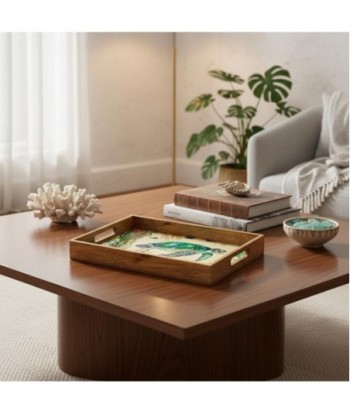 Bandejas de Tortuga 2U en Madera y Resina | Decoración Acuática