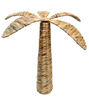 Figura de Palmera L en Jacinto de Agua - Estilo Natural y Ecológico