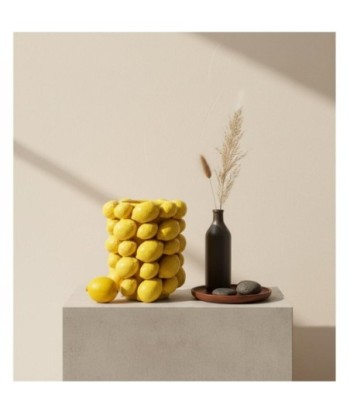 Jarrón Limones de Dolomita - Decoración Moderna y Colorida