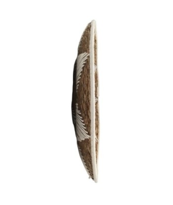 Adorno de Pared de Palma y Hierba Marina - Estilo Natural y Decorativo