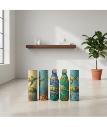 Botella Térmica de Acero Inoxidable con Tortugas y Caja Regalo | Capacidad 500ml
