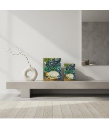 Caja Libro Gato 2U | MDF Forrado Poly | Estilo Artístico Ideal para Decorar