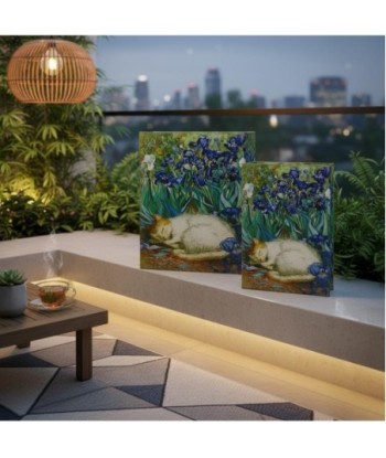 Caja Libro Gato 2U | MDF Forrado Poly | Estilo Artístico Ideal para Decorar