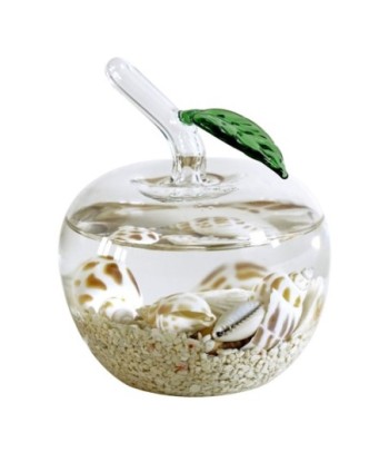 Bola Vida Marina Mediana - Pisapapeles Náutico Decorativo para Oficina y Hogar, Regalo Original para Amantes