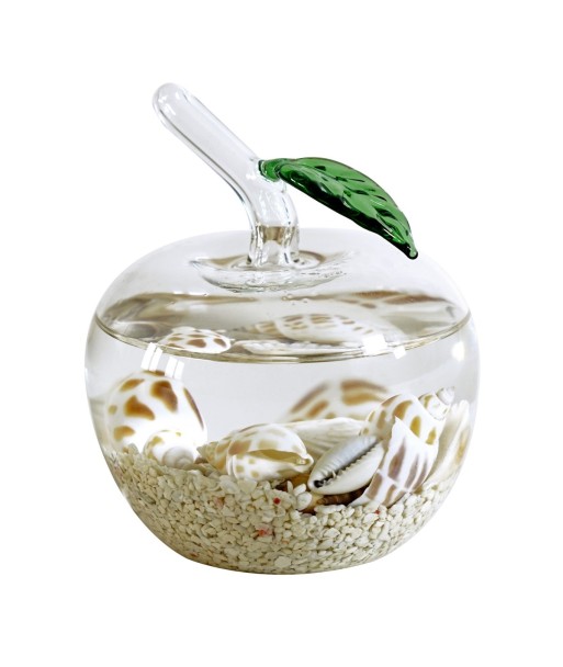 Bola Vida Marina Pequeña, Pisapapeles Decorativo Náutico para Oficina y Hogar, Regalo Original, Estilo Marítimo