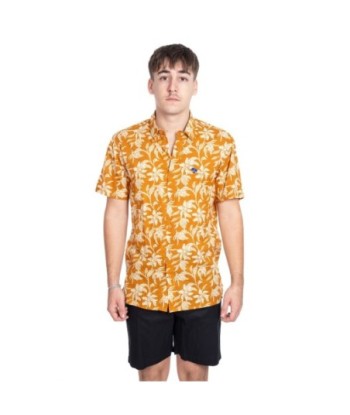 Camisa Hombre Multicolor de Algodón, Manga Larga, Estilo Casual, Ideal para Ocasiones Formales y Cotidianas, Moda