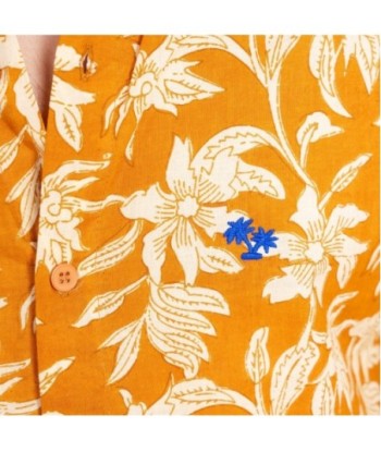 Camisa Hombre Multicolor de Algodón, Manga Larga, Estilo Casual, Ideal para Ocasiones Formales y Cotidianas, Moda