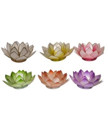 Portavelas Multicolor de Conchas de Capiz - Set de 6 Unidades para Decoración de Interiores y Eventos Especiales