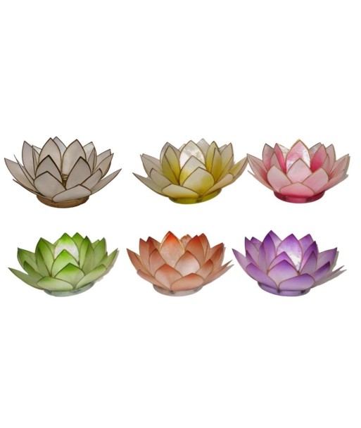 Portavelas Multicolor de Conchas de Capiz - Set de 6 Unidades para Decoración de Interiores y Eventos Especiales