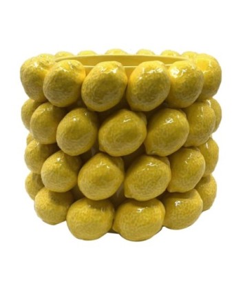 Macetero Limones Pequeño de Cerámica Amarillo para Decoración de Interiores y Exteriores, Ideal para Plantas