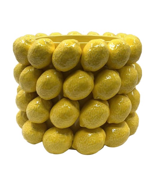 Macetero Limones Pequeño de Cerámica Amarillo para Decoración de Interiores y Exteriores, Ideal para Plantas