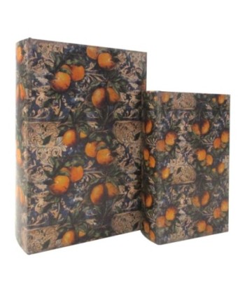 Caja Libro Limones 2U - Decoración Hogar Vintage - Set 2 Unidades