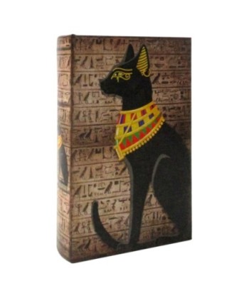 Caja libro gato decorativa para amantes de los felinos