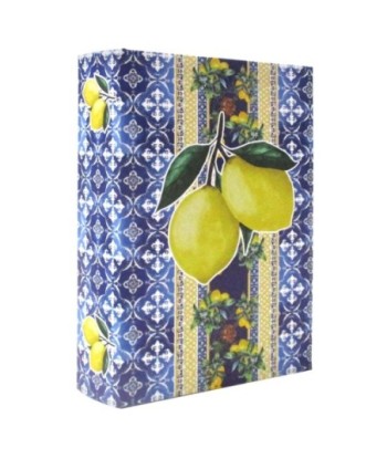 Caja Libro Limones Decorativa Vintage para Almacenaje y Decoración
