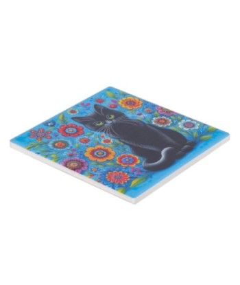 Posavasos Gato con Expresión Divertida para Proteger tu Mesa de Arañazos y Manchas