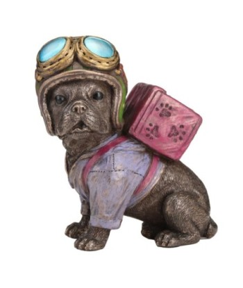 Perro bulldog repartidor comida para entrenamiento y juegos interactivos