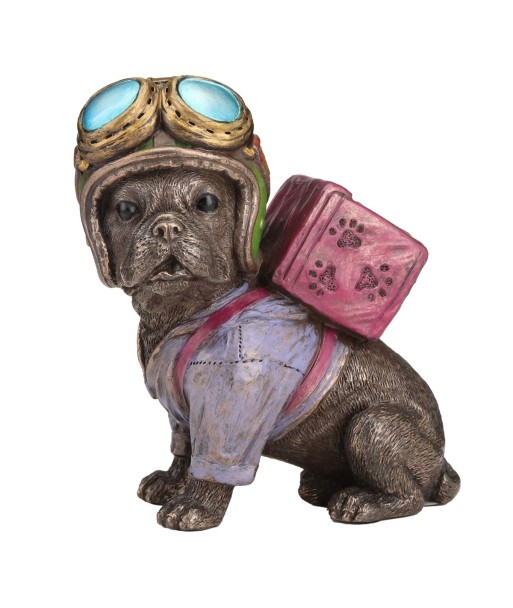 Perro bulldog repartidor comida para entrenamiento y juegos interactivos