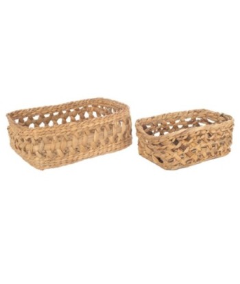 Cestas de Seagrass-Alga Marina, Pack de 2 unidades