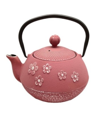 Tetera de Hierro Colado 0,8l - Diseño Vintage y Elegante para tu Cocina