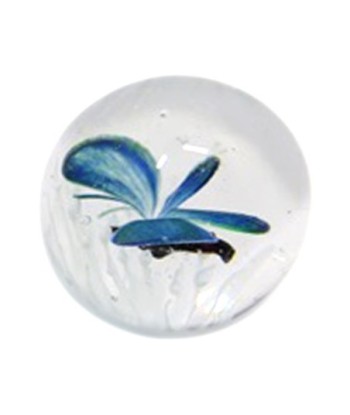 Pisapapel mariposa decorativo cristal azul regalo oficina hogar
